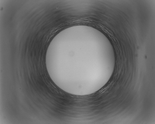 X0000078290096200611031003