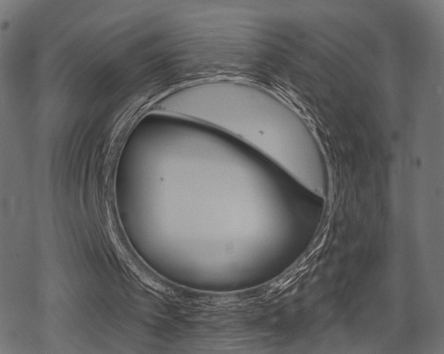 X0000078290097200611031002