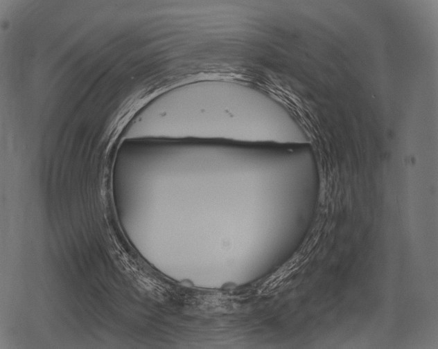 X0000078290098200611031002