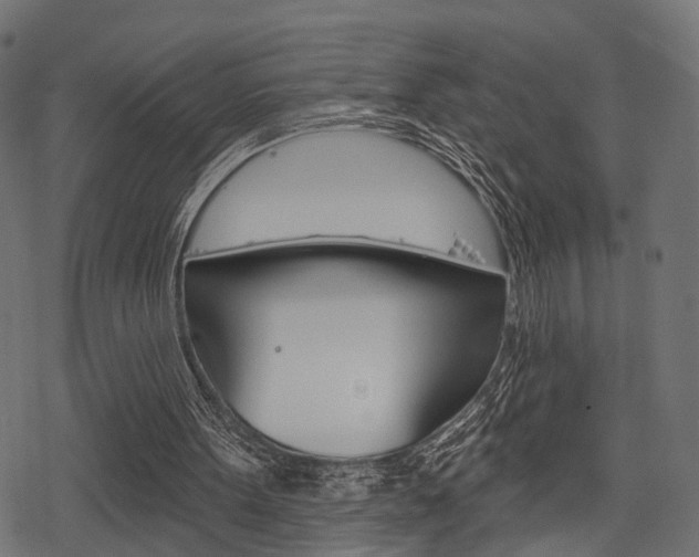 X0000078290099200611031002