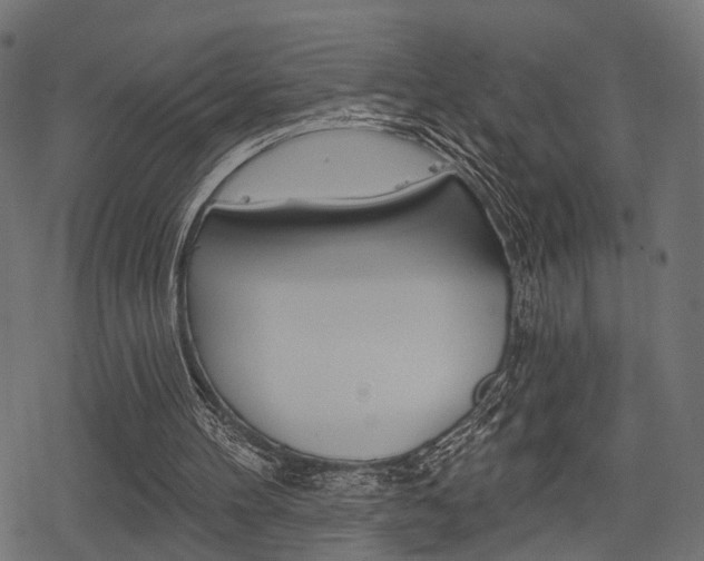 X0000078290100200611031002