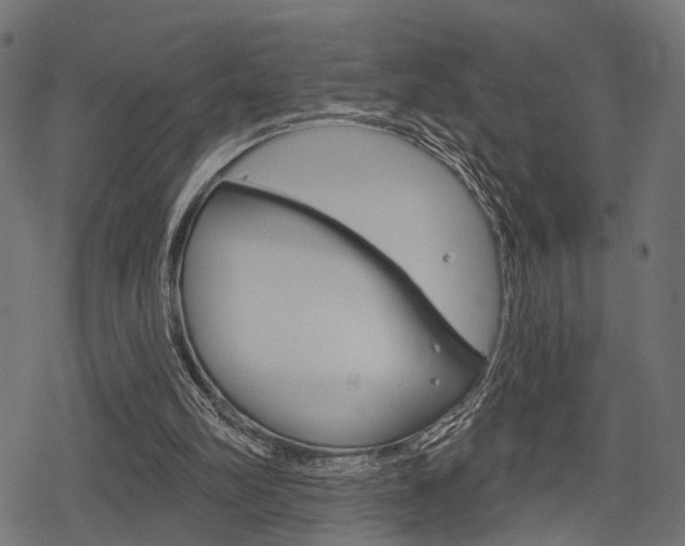 X0000078290102200611031002