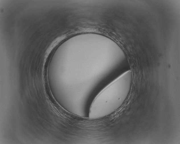 X0000078290104200611031002