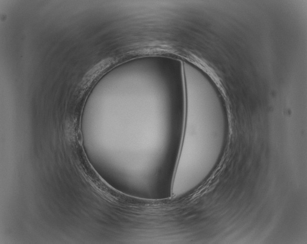 X0000078290105200611031002