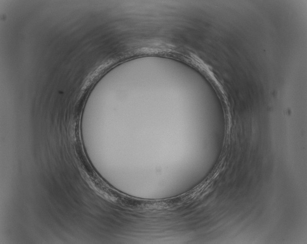 X0000078290106200611031002