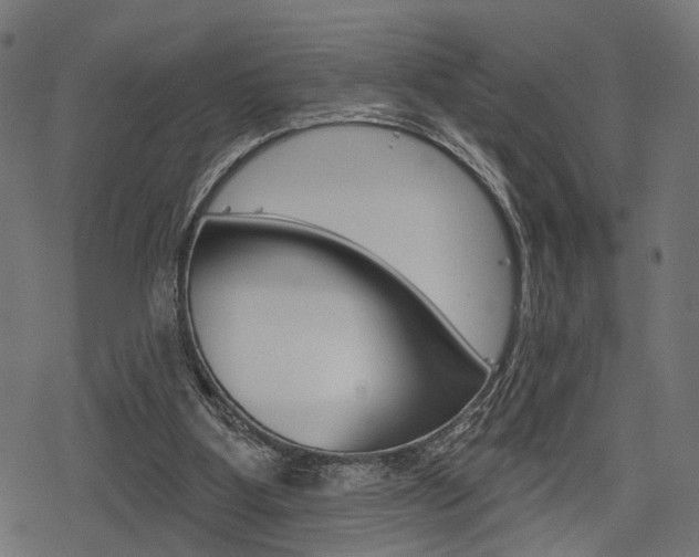 X0000078290107200611031002