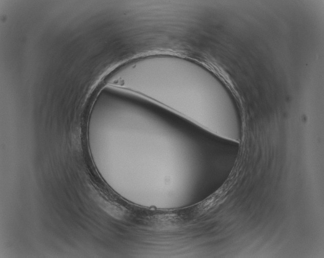 X0000078290108200611031002