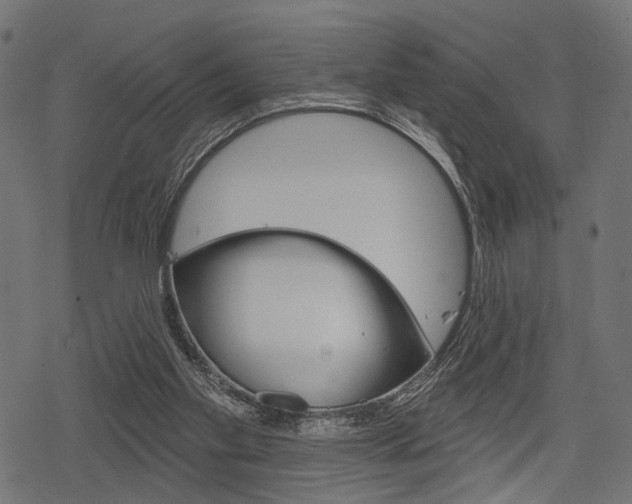 X0000078290109200611031002