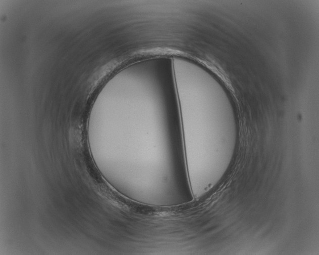 X0000078290111200611031002