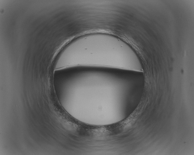 X0000078290112200611031002