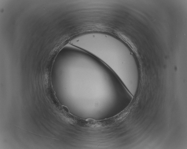 X0000078290113200611031002