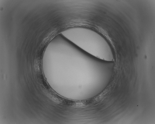 X0000078290114200611031002