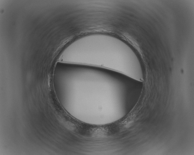 X0000078290115200611031002