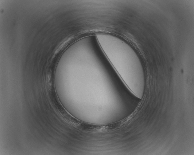 X0000078290116200611031002