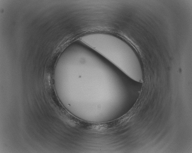 X0000078290117200611031002