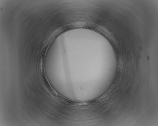 X0000078290118200611031002