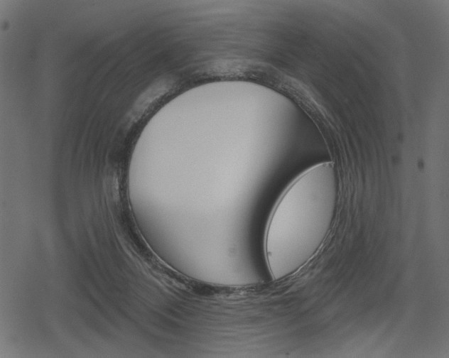 X0000078290120200611031002