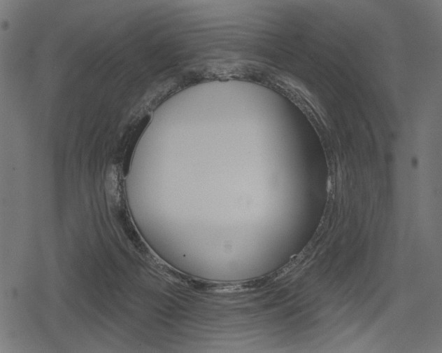 X0000078290121200611031002