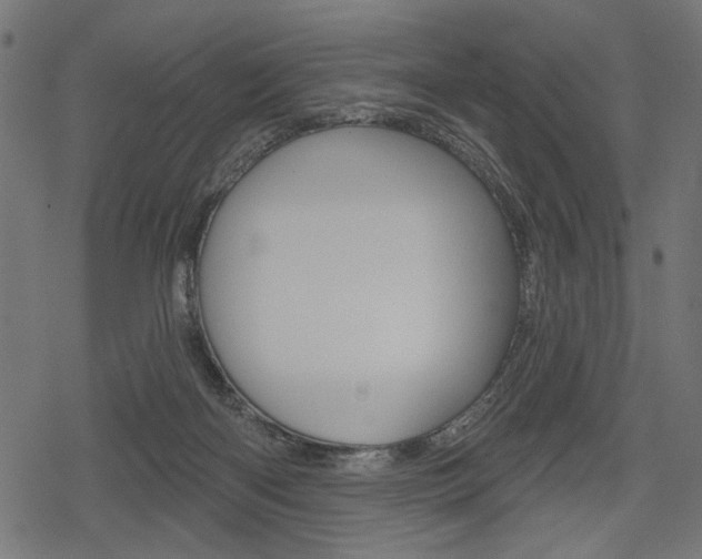 X0000078290122200611031002