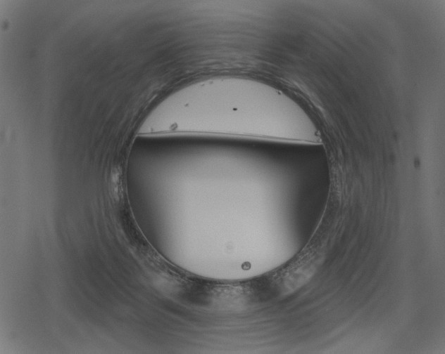 X0000078290123200611031002