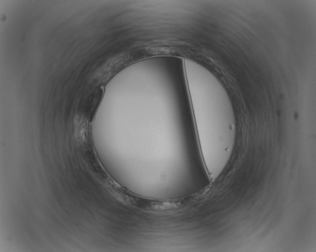 X0000078290125200611031002