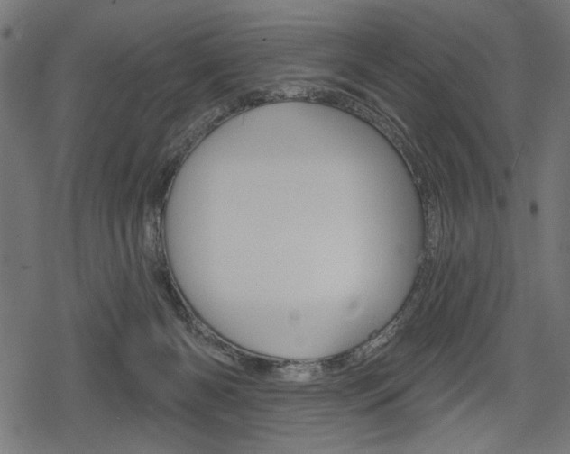 X0000078290126200611031002