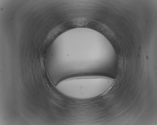 X0000078290128200611031002