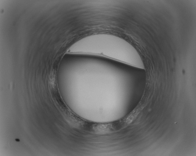 X0000078290129200611031001