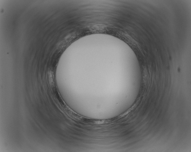 X0000078290130200611031001