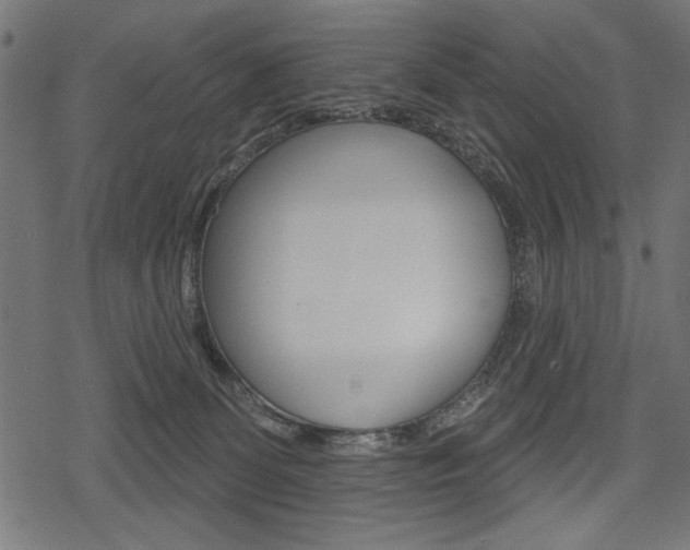 X0000078290131200611031001