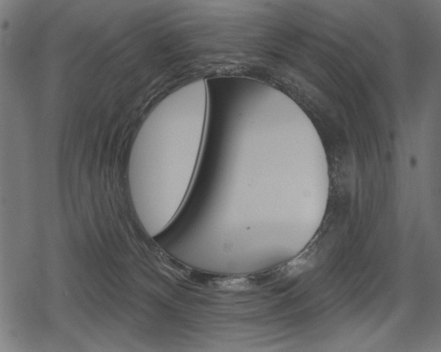 X0000078290132200611031001