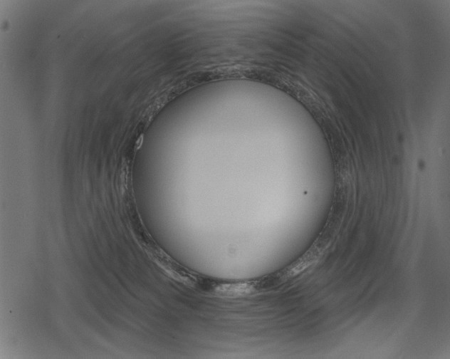 X0000078290133200611031001