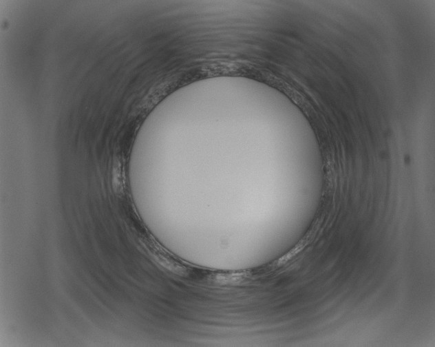 X0000078290134200611031001