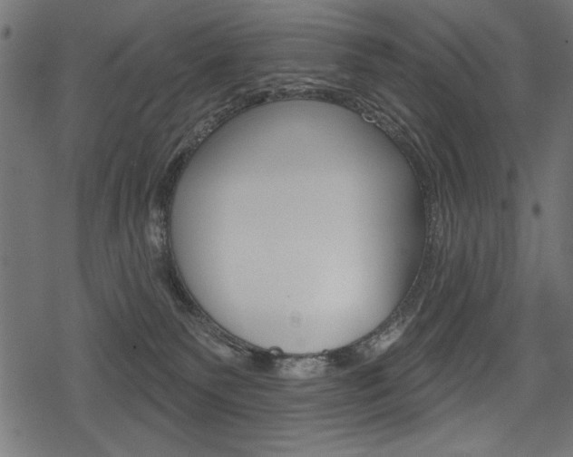 X0000078290135200611031001