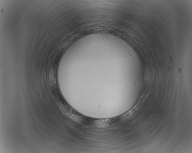 X0000078290136200611031001