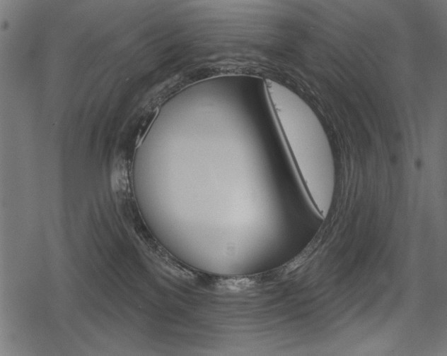 X0000078290137200611031001