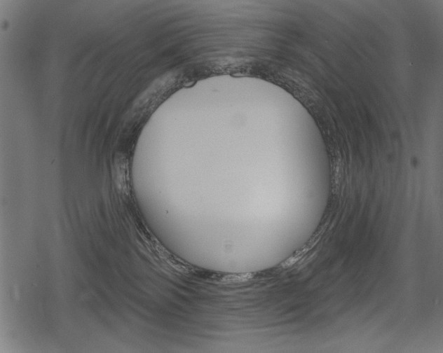 X0000078290138200611031001