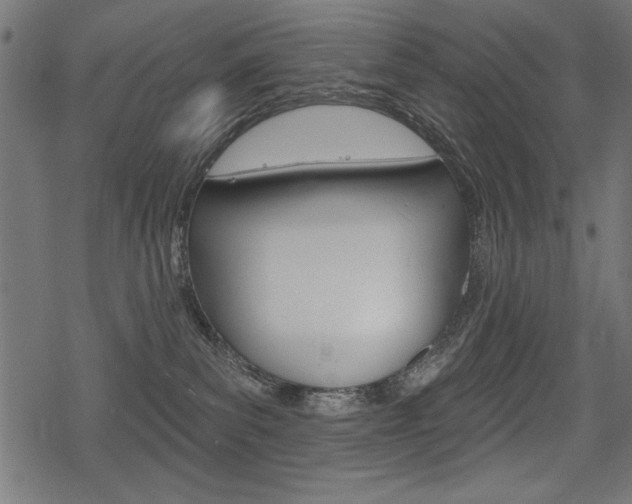 X0000078290139200611031001