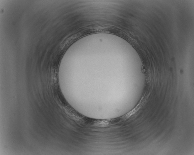 X0000078290140200611031001