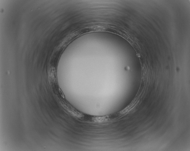 X0000078290141200611031001