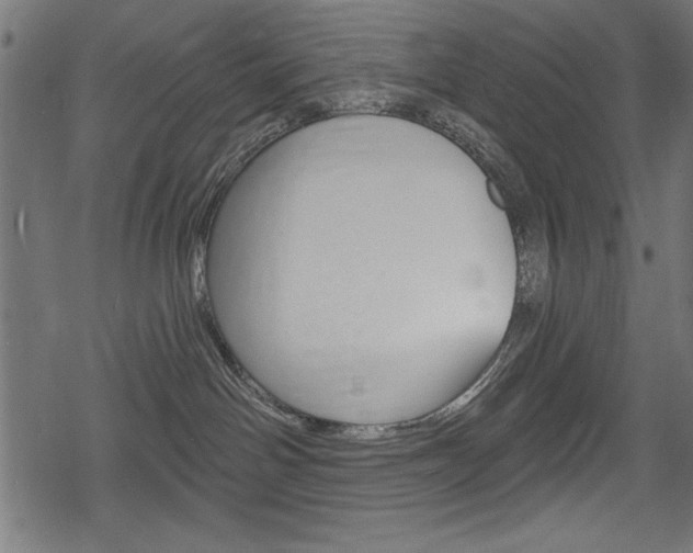 X0000078290142200611031001