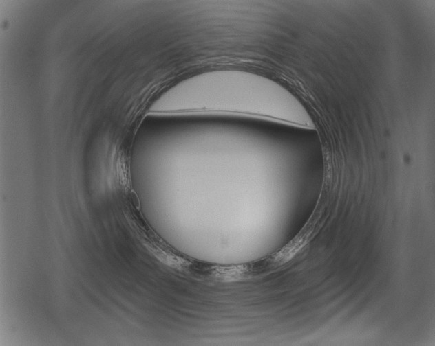 X0000078290143200611031001