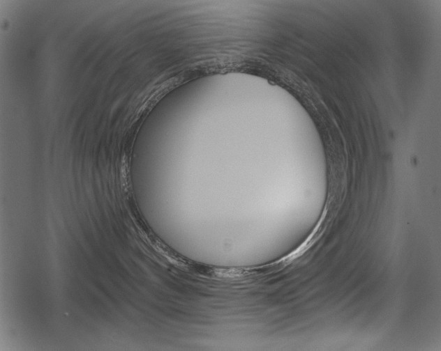 X0000078290144200611031001