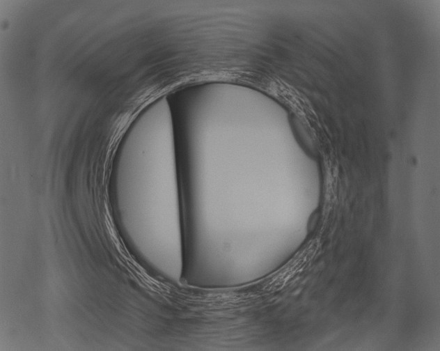 X0000078290145200611031000