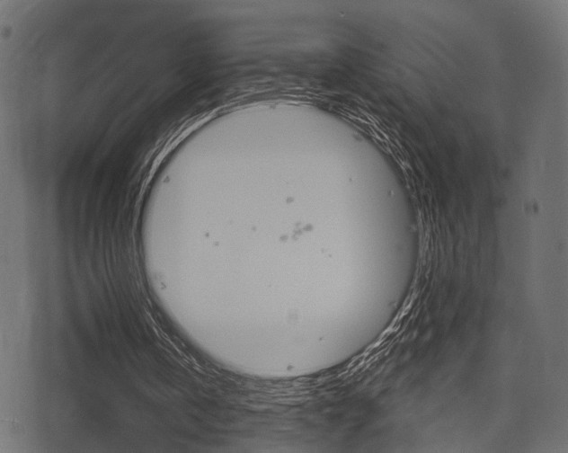 X0000078290146200611031000