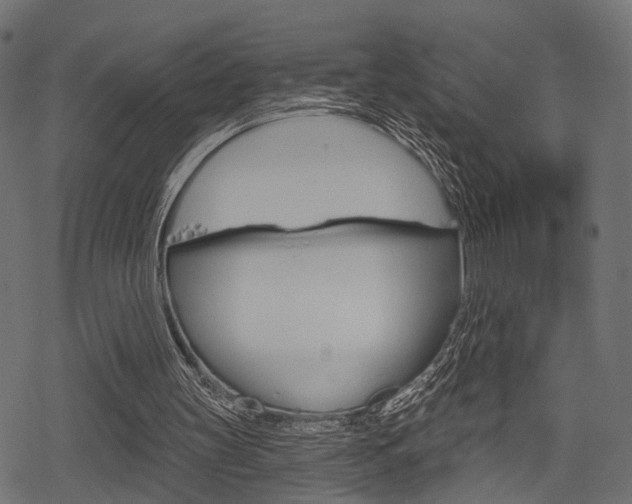 X0000078290147200611031000