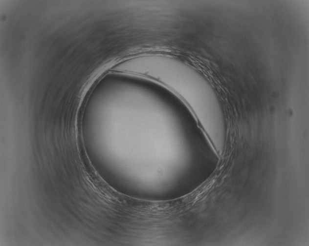 X0000078290148200611031001