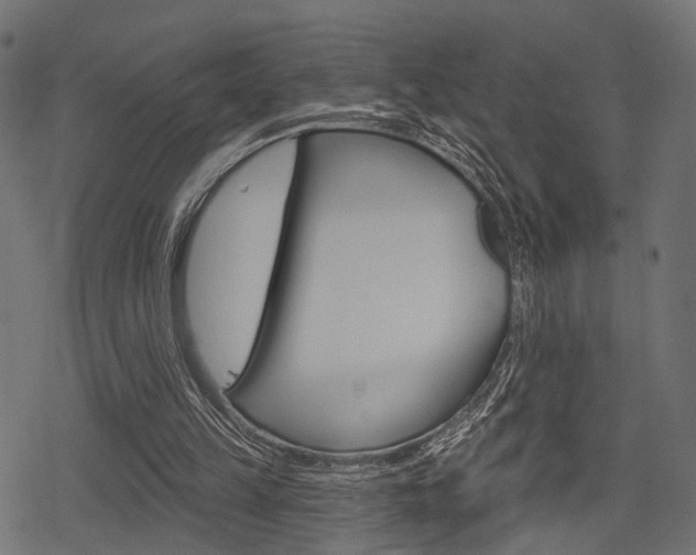 X0000078290149200611031001