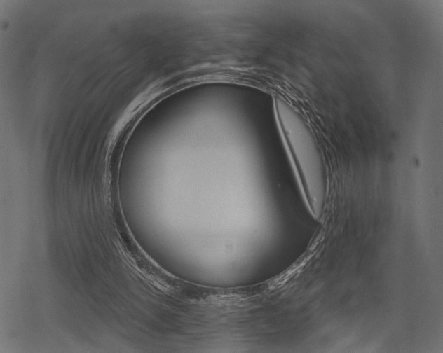 X0000078290150200611031001