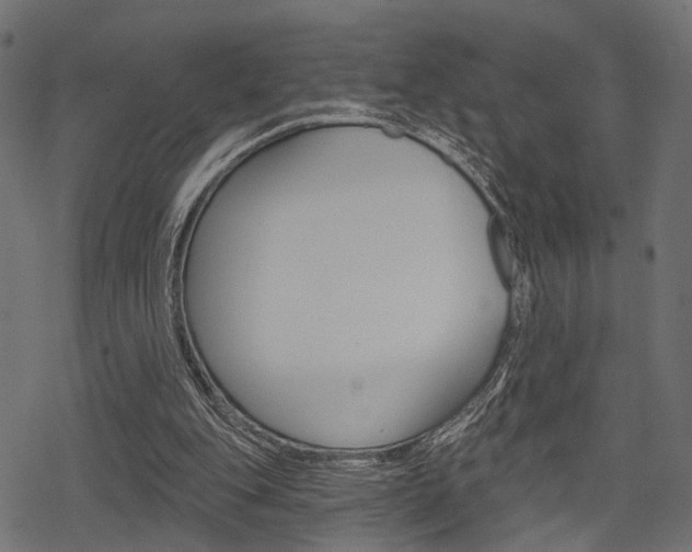 X0000078290151200611031001